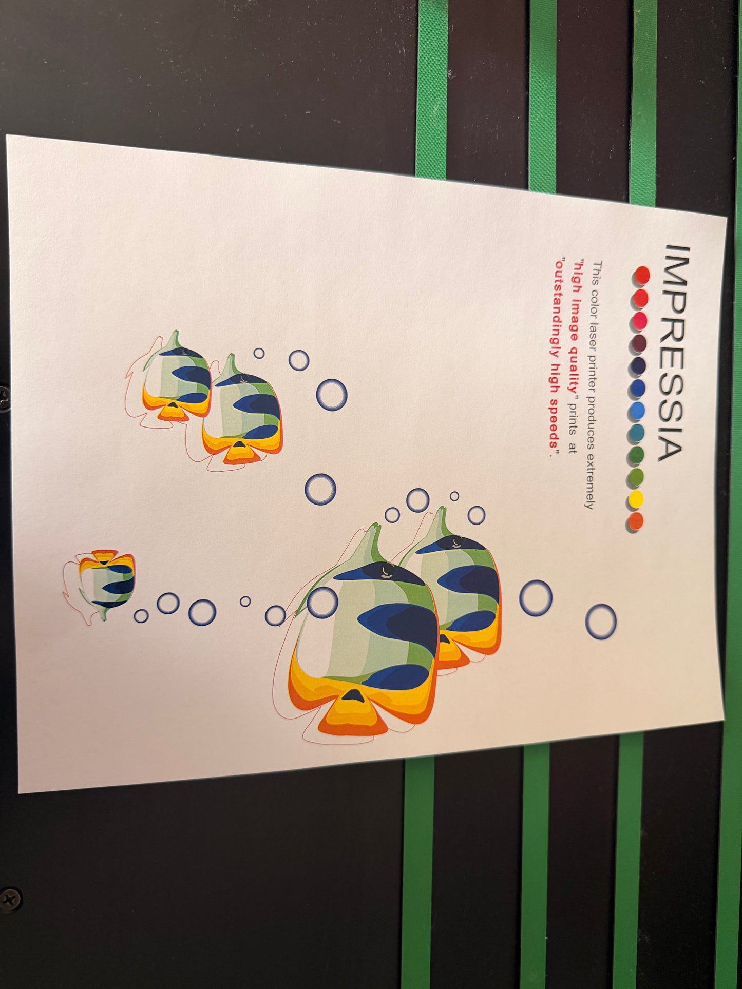 Xante Impressia Printer 263k meter